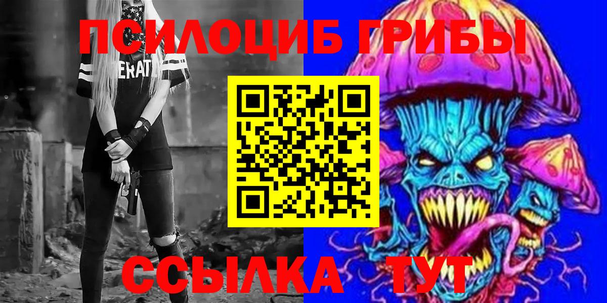 Галлюциногенные грибы Psilocybe Советск