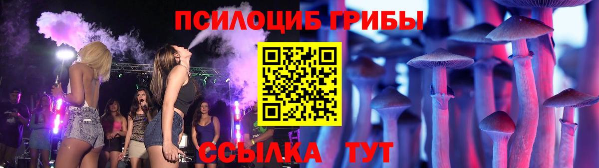 купить   Вход с VPN  Галлюциногенные грибы MAGIC MUSHROOMS  Советск  Галлюциногенные грибы MAGIC MUSHROOMS 